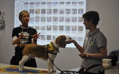 How to Help your Animals in Bushfires – from a Veterinarian