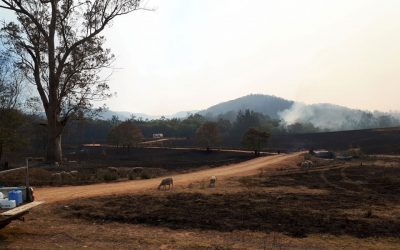 When Fire Finds Your Farm