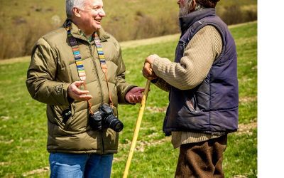 Livestock Guardian Dog Teamwork & Strategic Positioning Behaviour, When Protecting Livestock